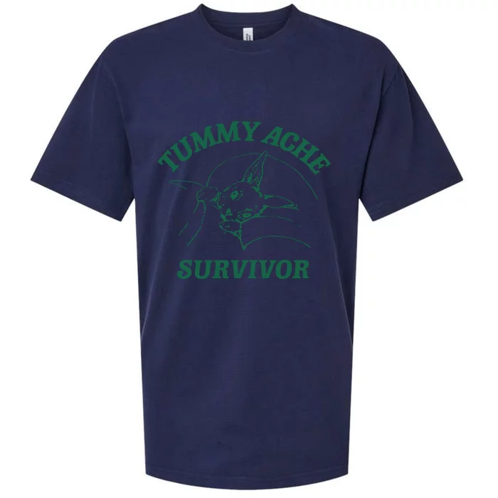 Tummy Ache Survivor Tummy Ache Sueded Cloud Jersey T-Shirt