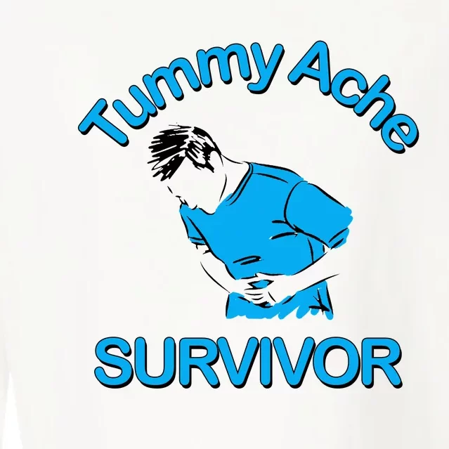 Tummy Ache Survivor Cropped Pullover Crew