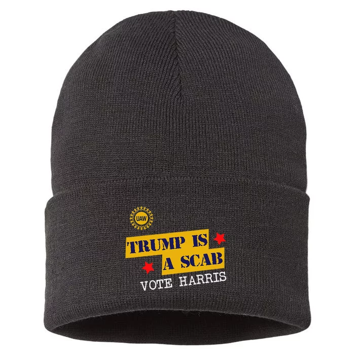 Trumps A Scab Sustainable Knit Beanie