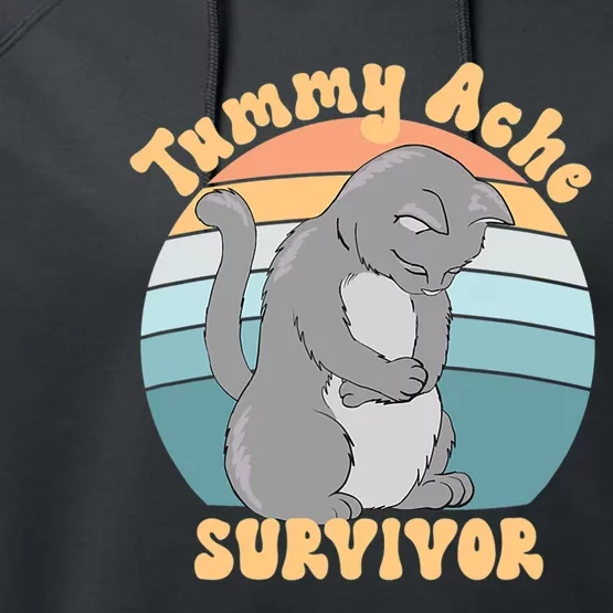 Tummy Ache Survivor Cat Performance Fleece Hoodie