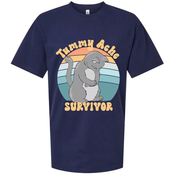 Tummy Ache Survivor Cat Sueded Cloud Jersey T-Shirt