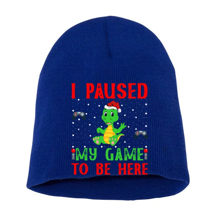 Turtle And Video Game Lover Gift I Paused My Game To Be Here Gift Short Acrylic Beanie