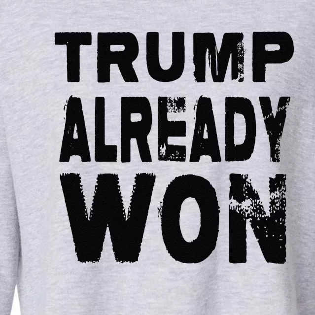 Trump Already Won 2024 Election Vote Day Donald Trump Vote Cropped Pullover Crew