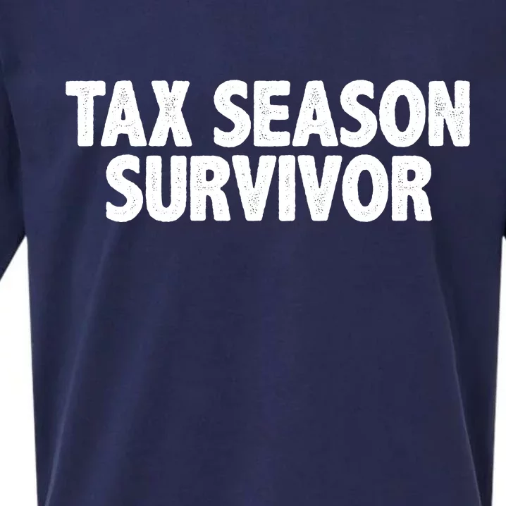 Tax Season Survivor Sueded Cloud Jersey T-Shirt