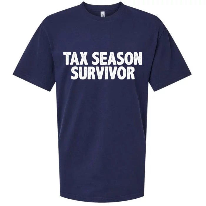 Tax Season Survivor Sueded Cloud Jersey T-Shirt