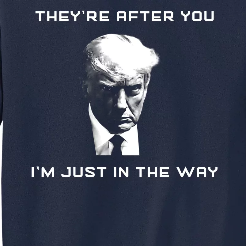 Theyre After You Im Just In The Way Donald Trump Tall Sweatshirt