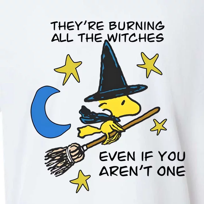 They’Re Burning All The Witches Even If You Aren’T One Sueded Cloud Jersey T-Shirt