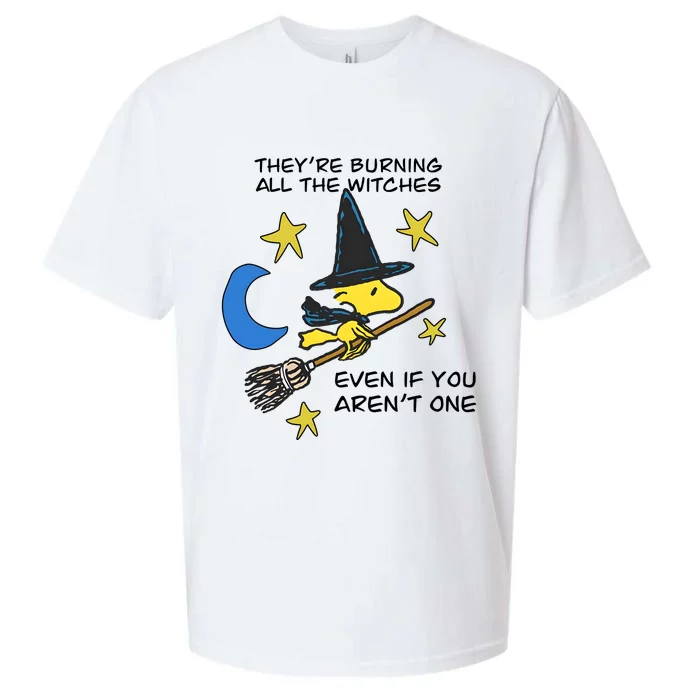 They’Re Burning All The Witches Even If You Aren’T One Sueded Cloud Jersey T-Shirt