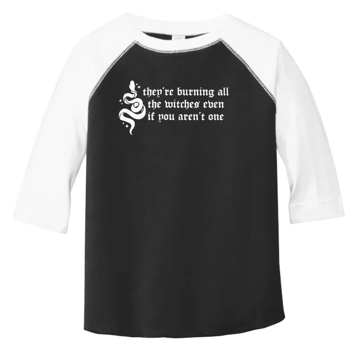 Theyre Burning All The Witches Even If You Arent One Toddler Fine Jersey T-Shirt