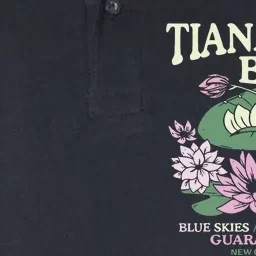 TianaS Bayou Blue Skies And Sunshine Guaranteed New Orleans Softstyle Adult Sport Polo