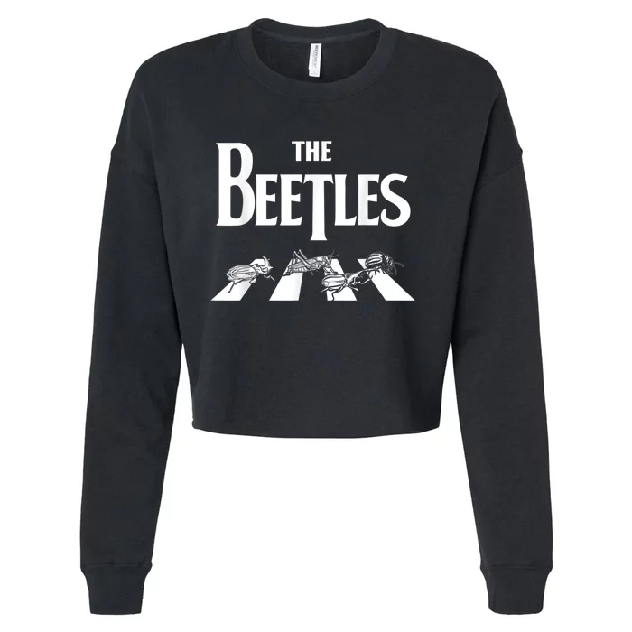 The Beetles Entomology Insect Collector Bug Entomologist Cropped Pullover Crew