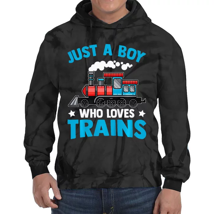 Train Birthday Just a who loves Trains Tie Dye Hoodie