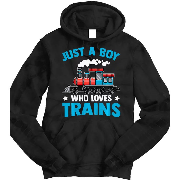 Train Birthday Just a who loves Trains Tie Dye Hoodie