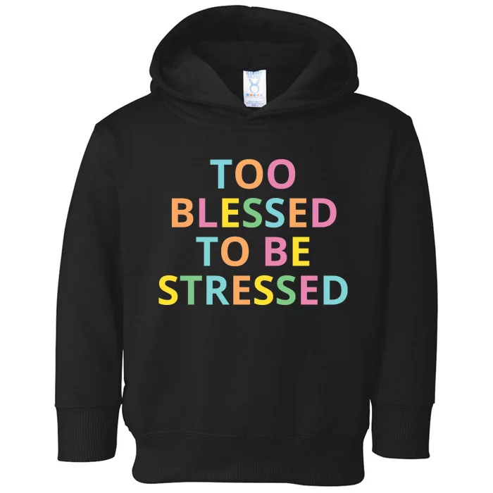 Too Blessed To Be Stressed Toddler Hoodie