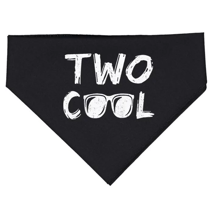 Two Cool 2nd Birthday Gift 2 Year Old USA-Made Doggie Bandana