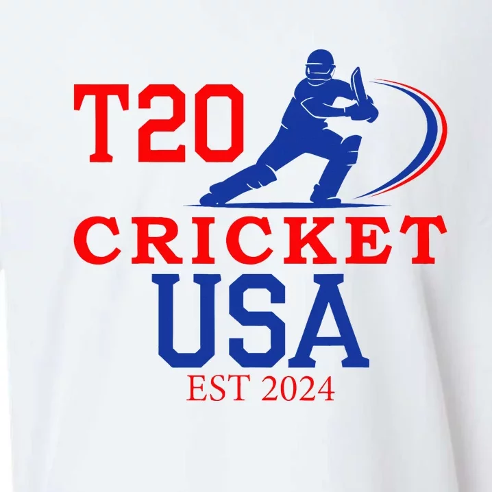 T20 Cricket 2024 Usa Sueded Cloud Jersey T-Shirt