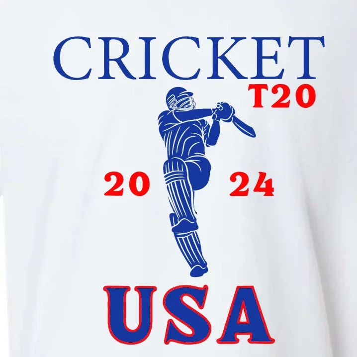 T20 Cricket 2024 Usa Sueded Cloud Jersey T-Shirt