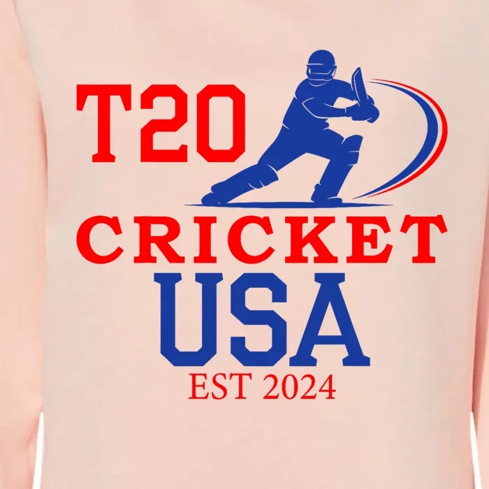 T20 Cricket 2024 Usa Womens California Wash Sweatshirt