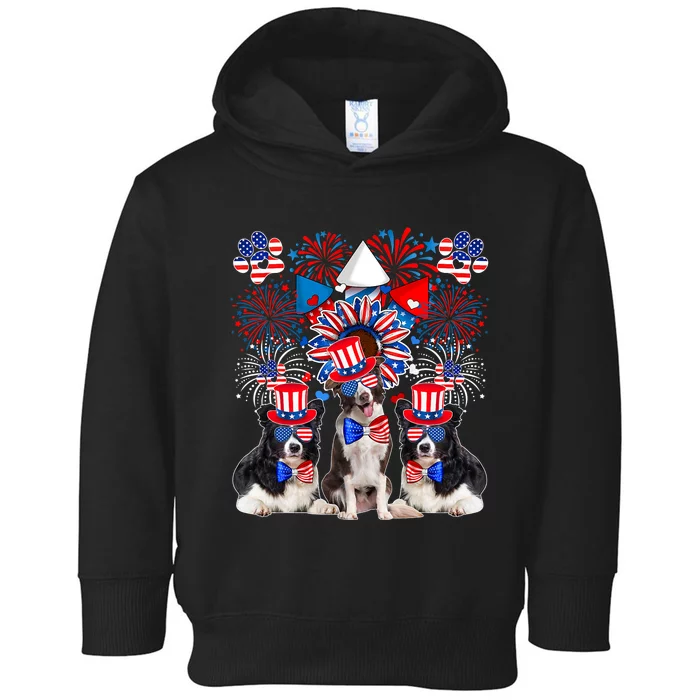 Three Cute Border Collies Sunglasses American Flag 4th July Toddler Hoodie