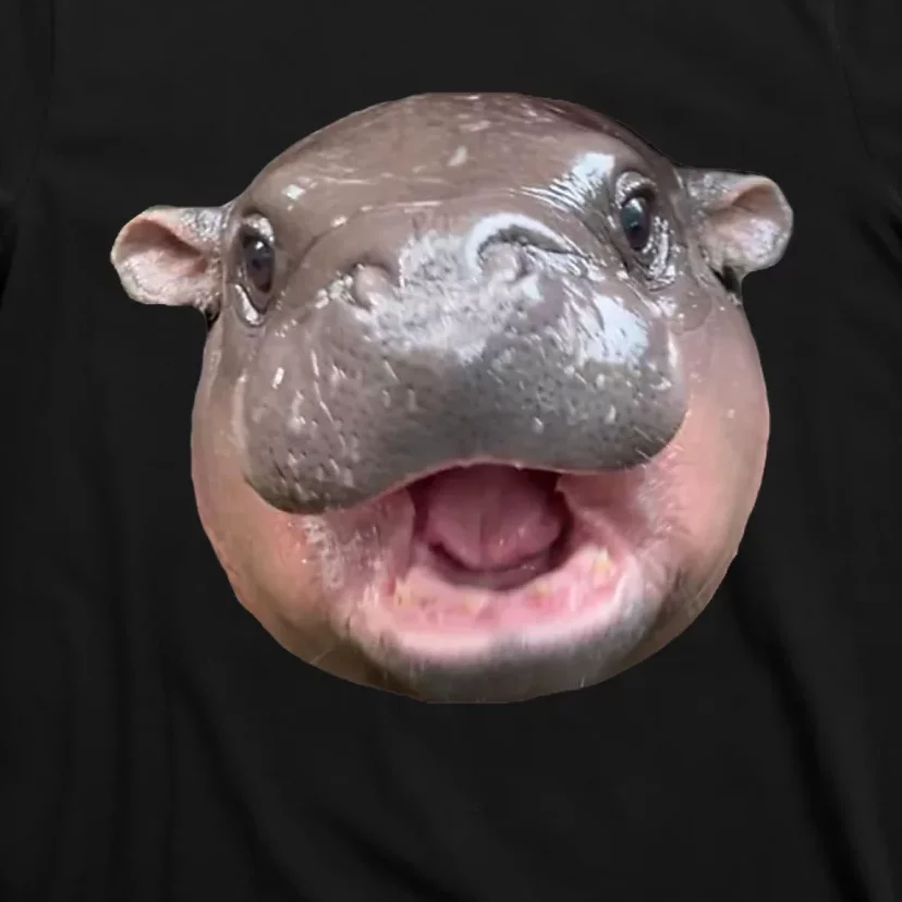 The Cute Baby Hippo Face Moo Deng Bouncy Pig Gift T-Shirt