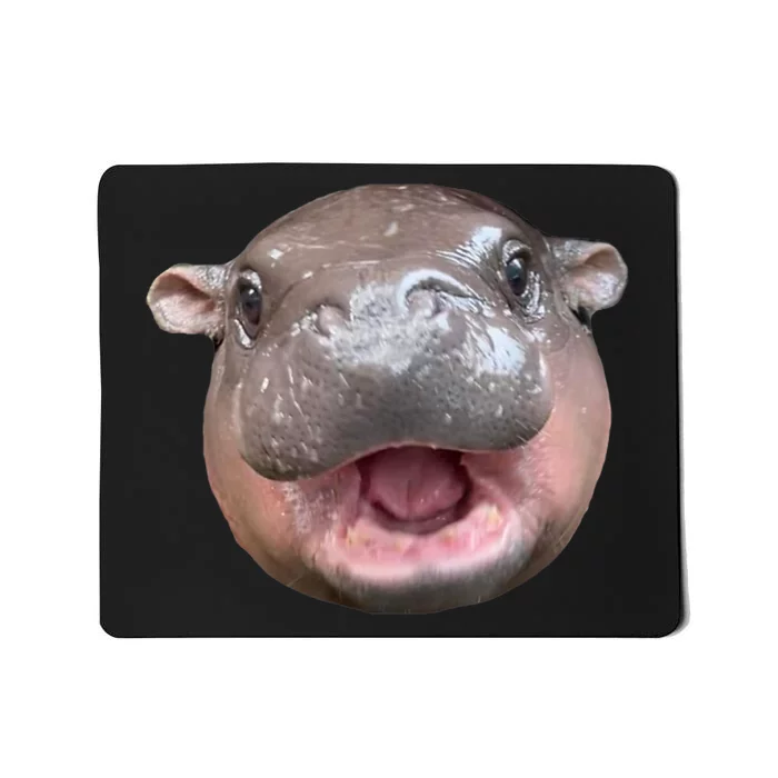 The Cute Baby Hippo Face Moo Deng Bouncy Pig Gift Mousepad