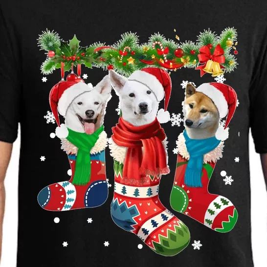 Three Canaan Dogs In Christmas Socks Pajama Set