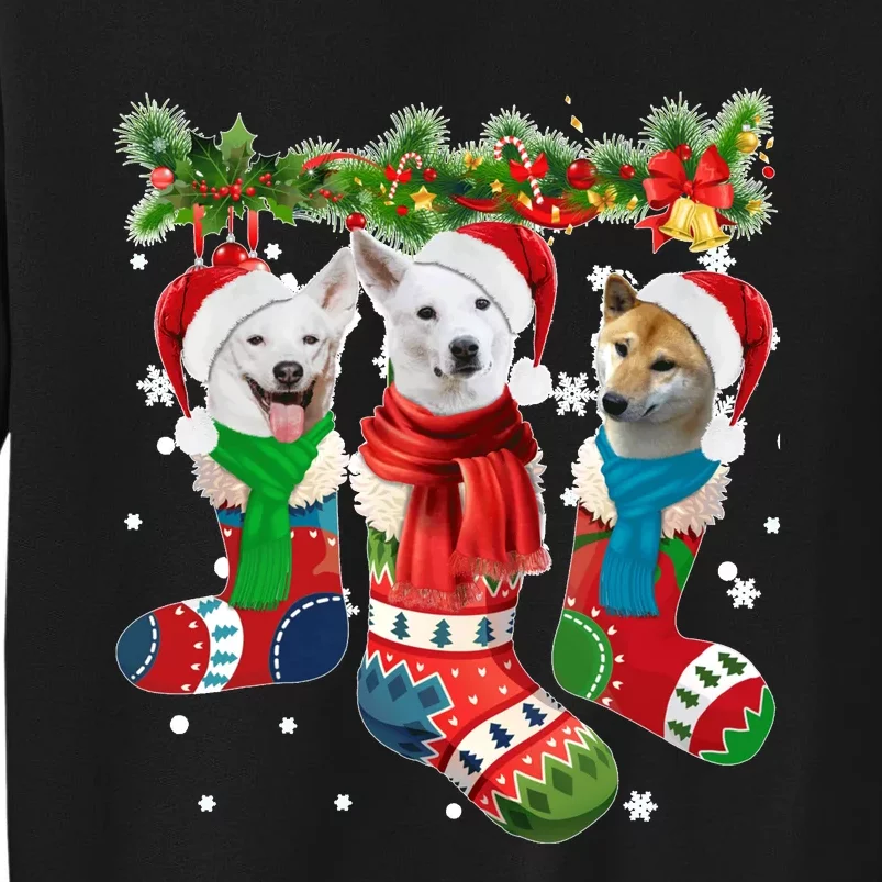 Three Canaan Dogs In Christmas Socks Tall Sweatshirt