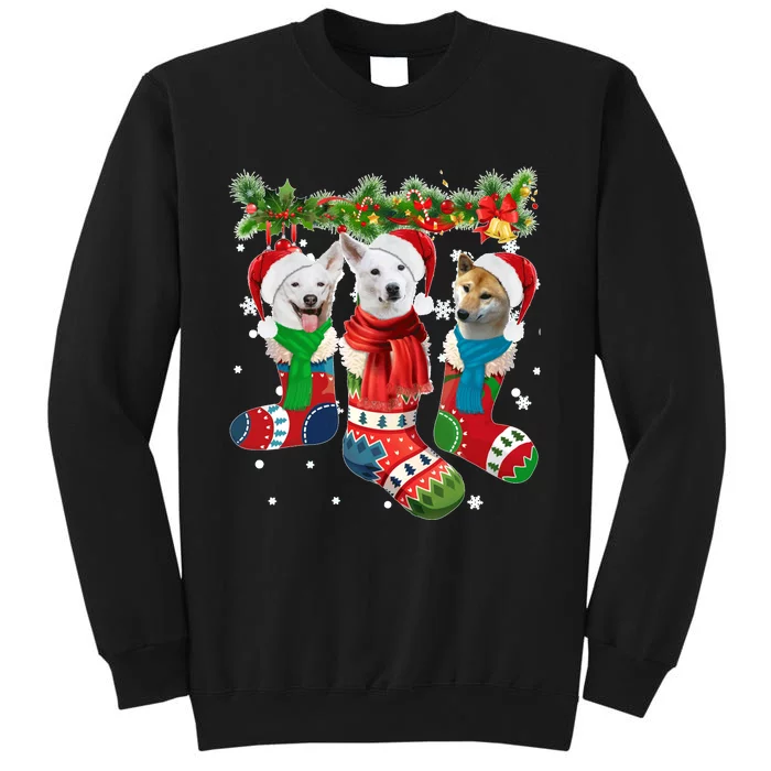 Three Canaan Dogs In Christmas Socks Tall Sweatshirt