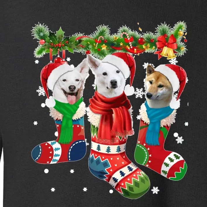 Three Canaan Dogs In Christmas Socks Toddler Sweatshirt