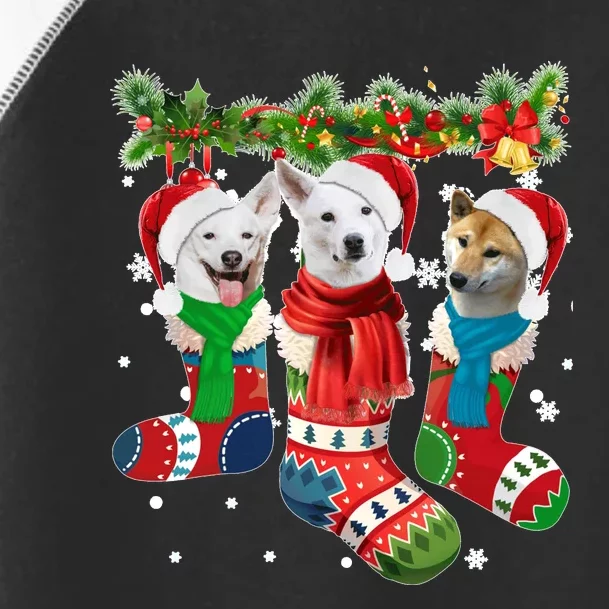 Three Canaan Dogs In Christmas Socks Toddler Fine Jersey T-Shirt