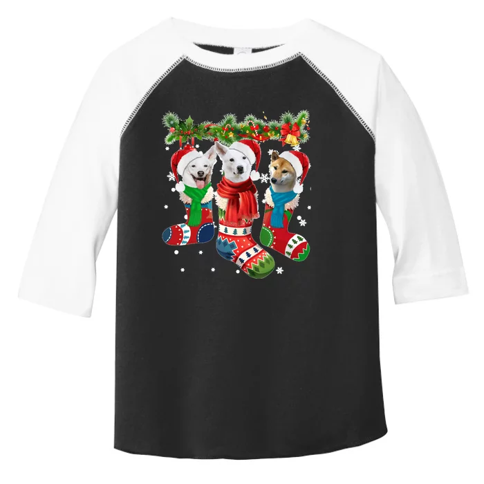 Three Canaan Dogs In Christmas Socks Toddler Fine Jersey T-Shirt