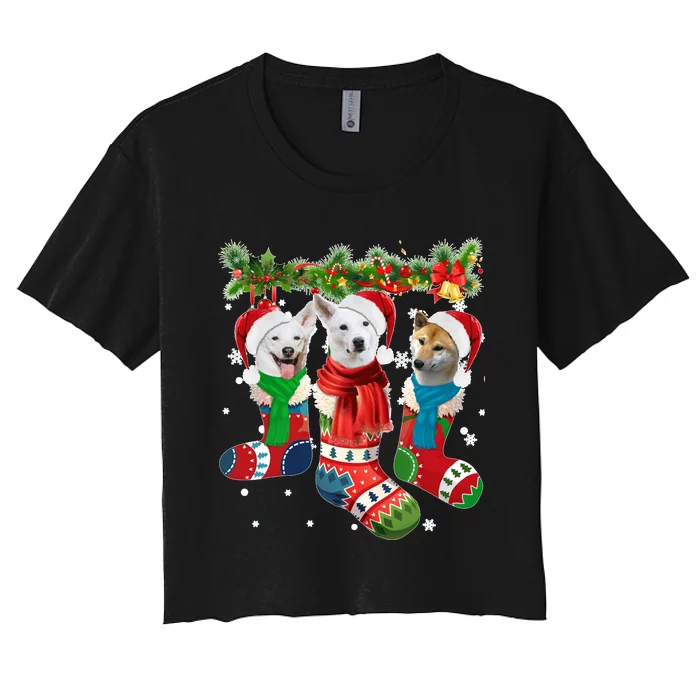 Three Canaan Dogs In Christmas Socks Women's Crop Top Tee