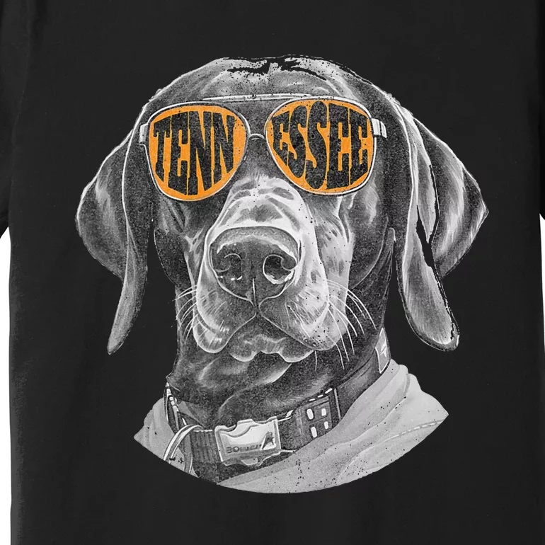 Tennessee Coonhound Dog Sport Lovers Tennessee Tri Stars Premium T-Shirt