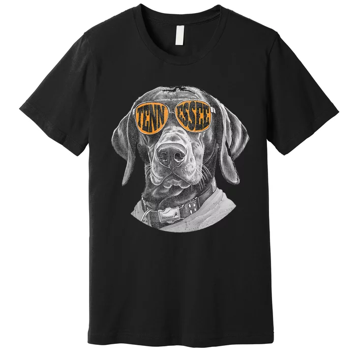 Tennessee Coonhound Dog Sport Lovers Tennessee Tri Stars Premium T-Shirt