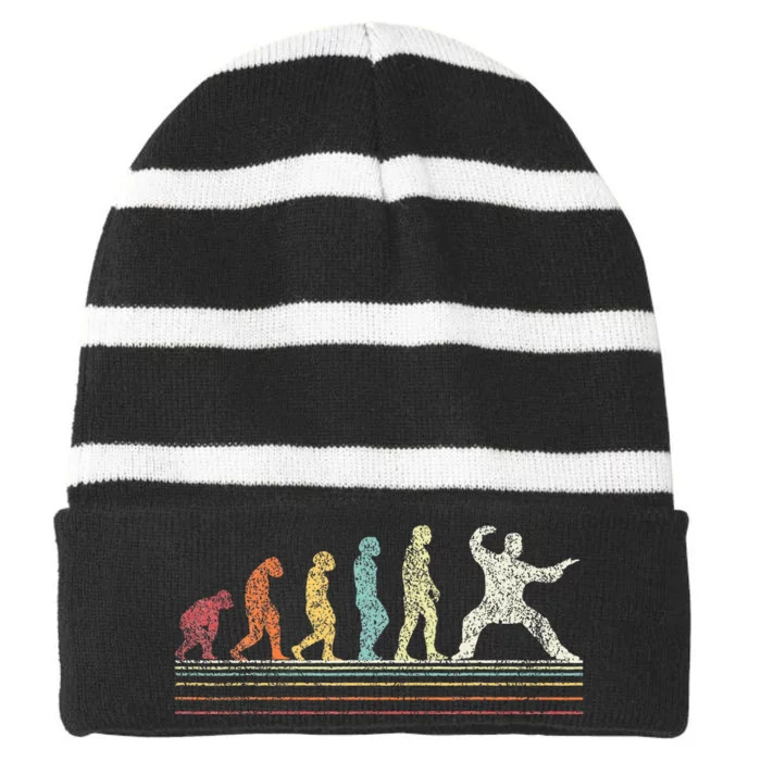 Tai Chi Evolution Chinese Martial Arts Striped Beanie with Solid Band