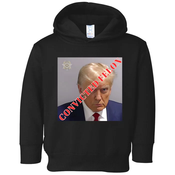 Trump Convicted Felon Toddler Hoodie