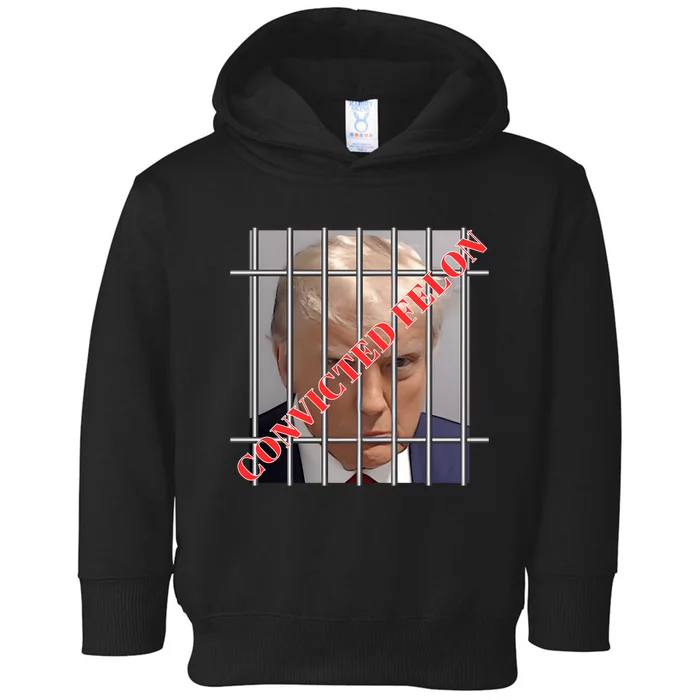 Trump Convicted Felon Toddler Hoodie