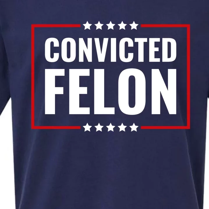 Trump Convicted Felon Sueded Cloud Jersey T-Shirt