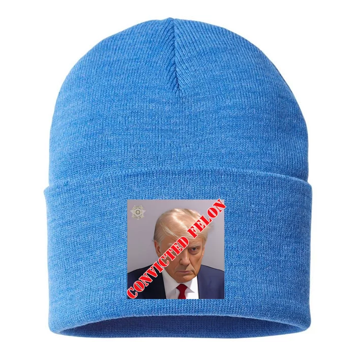 Trump Convicted Felon Sustainable Knit Beanie