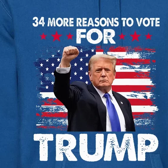 Trump Convicted Felon 34 More Reasons To Vote Premium Hoodie