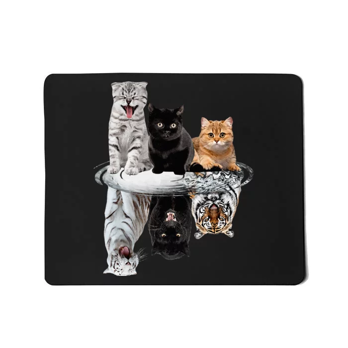 Three Cats Kittens Reflection Tiger Leopard Mousepad