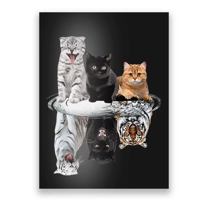 Three Cats Kittens Reflection Tiger Leopard Poster