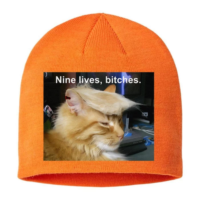 Trump Cat Nine Lives Bitches 8 1/2in Sustainable Knit Beanie