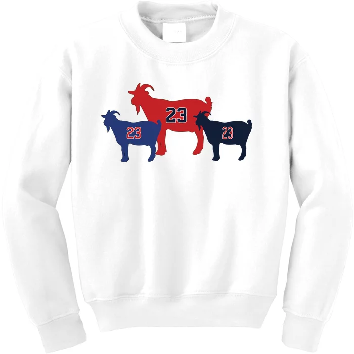 The Chicagoats New Kids Sweatshirt