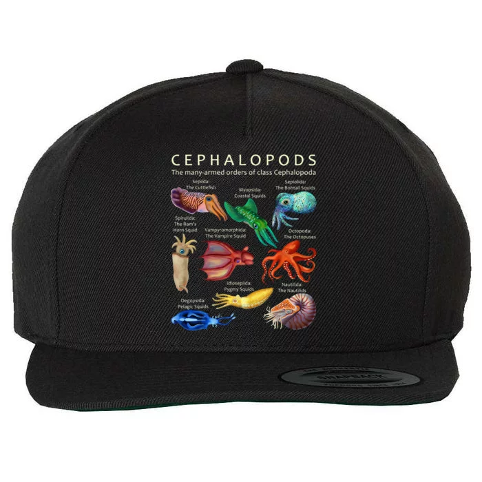 The Cephalopod Octopus Squid Cuttlefish And Nautilus Wool Snapback Cap