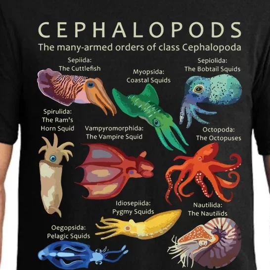 The Cephalopod Octopus Squid Cuttlefish And Nautilus Pajama Set