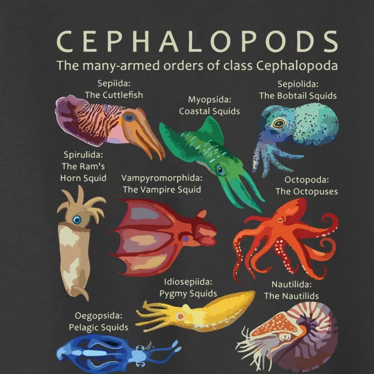 The Cephalopod Octopus Squid Cuttlefish And Nautilus Toddler T-Shirt