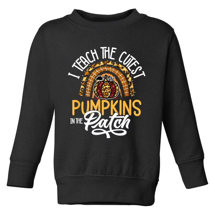 The Cutest Pumpkins Teacher: Halloween Toddler Sweatshirt