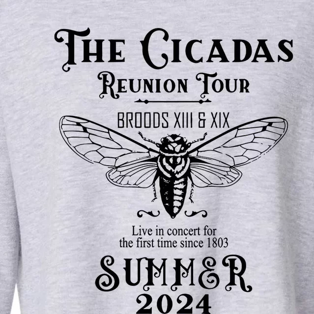 The Cicadas Reunion Summer 2024 Cropped Pullover Crew