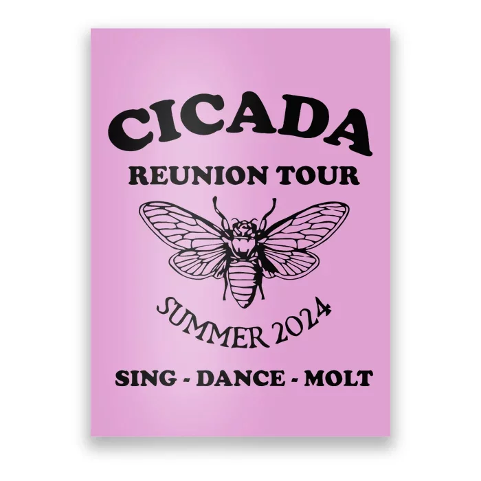 The Cicada Reunion U.S 2024 Cicada Concert Fest Lover Poster